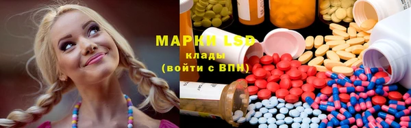 apvp Верея