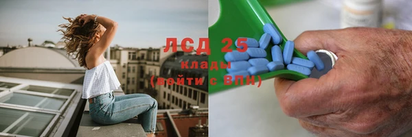 apvp Верея