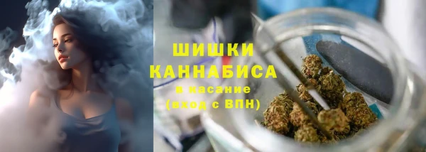 apvp Верея