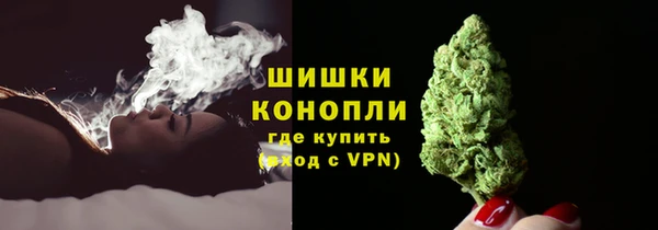 apvp Верея
