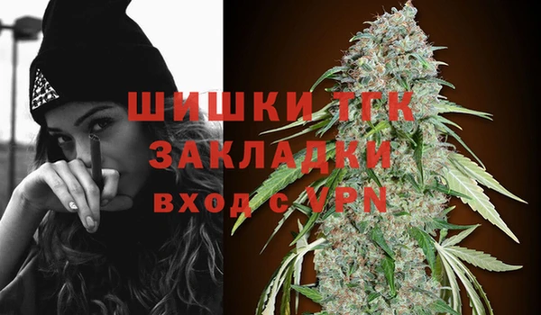 apvp Верея