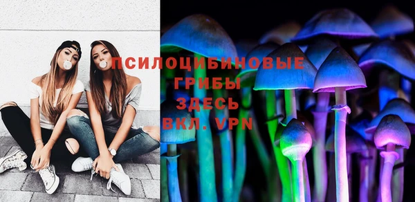 apvp Верея