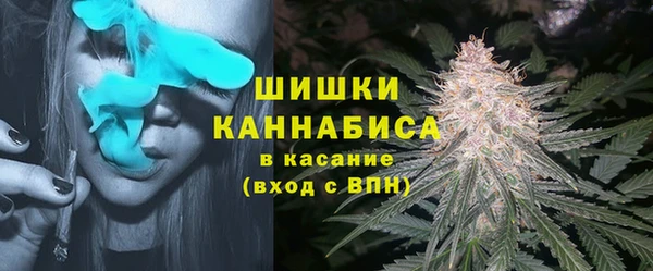 apvp Верея