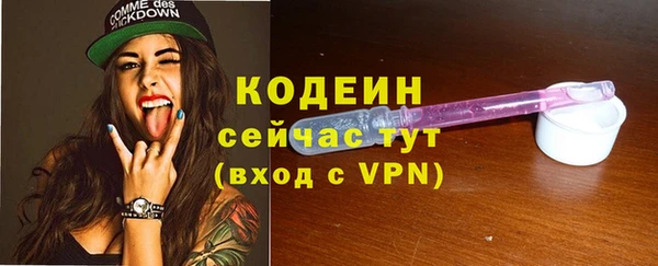 apvp Верея