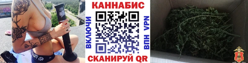 что такое   Балаково  Канабис индика 